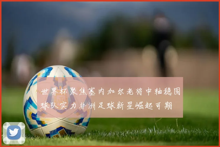 世界杯聚焦塞内加尔老将中轴稳固球队实力非洲足球新星崛起可期