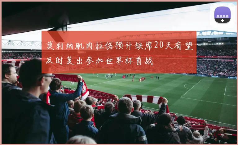 莫利纳肌肉拉伤预计缺席20天有望及时复出参加世界杯首战