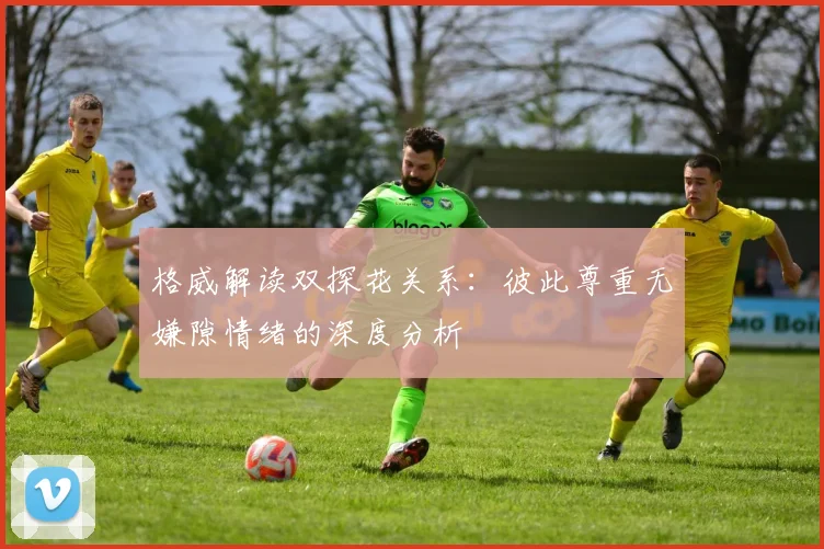 格威解读双探花关系：彼此尊重无嫌隙情绪的深度分析