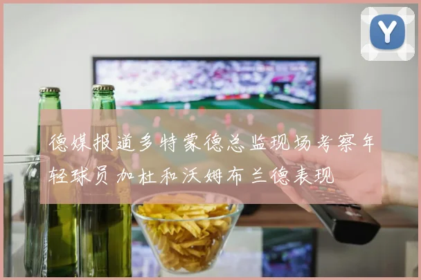 德媒报道多特蒙德总监现场考察年轻球员加杜和沃姆布兰德表现